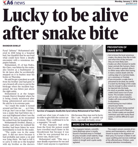 snake_bite.png
